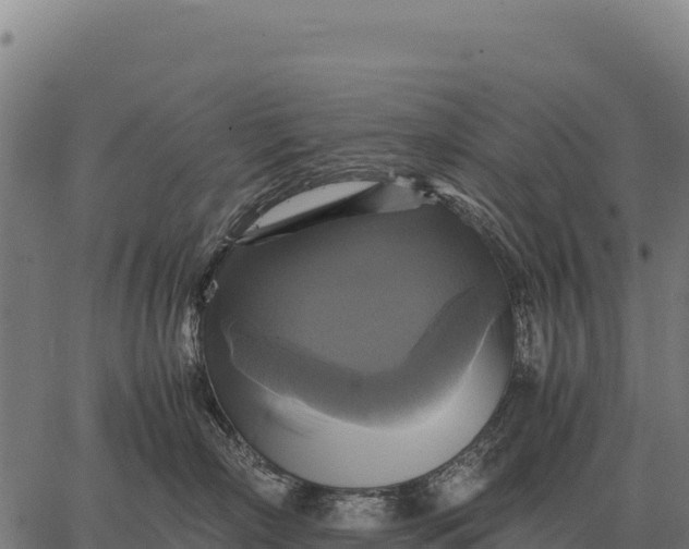 X0000066520718200603311754