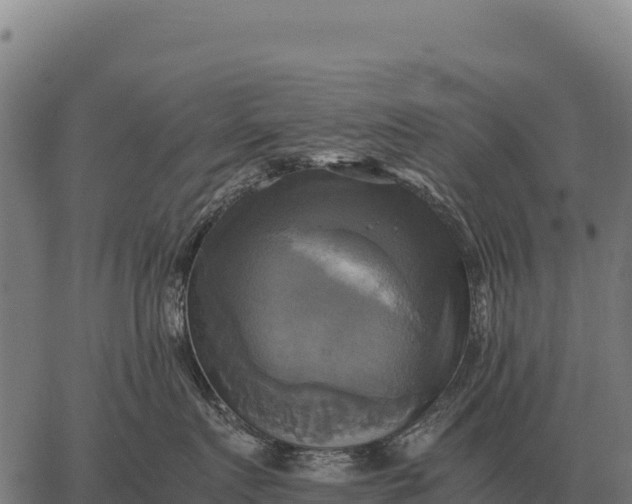 X0000066520719200603311754