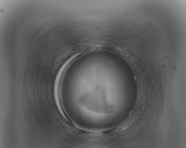 X0000066520720200603311754