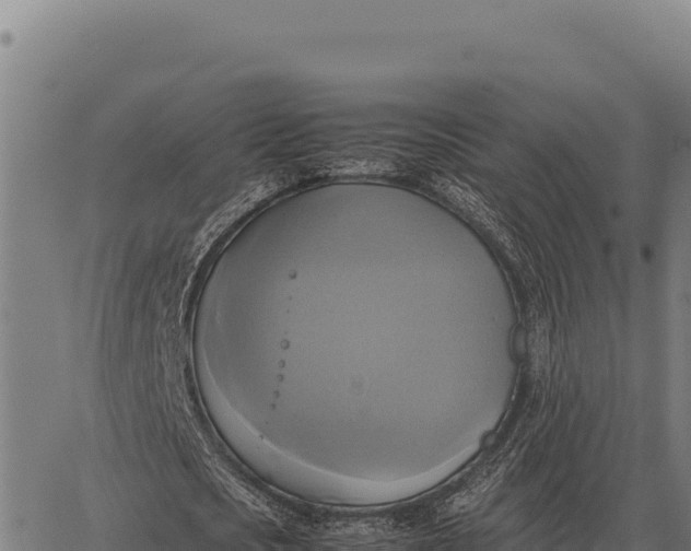 X0000066520721200603311753