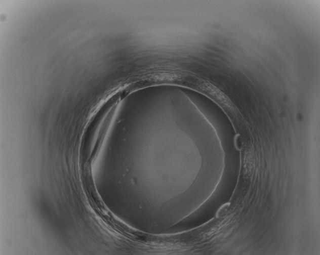 X0000066520722200603311753