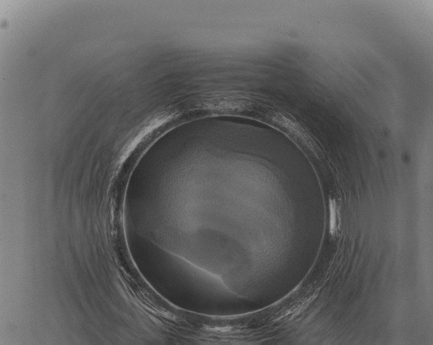 X0000066520723200603311753