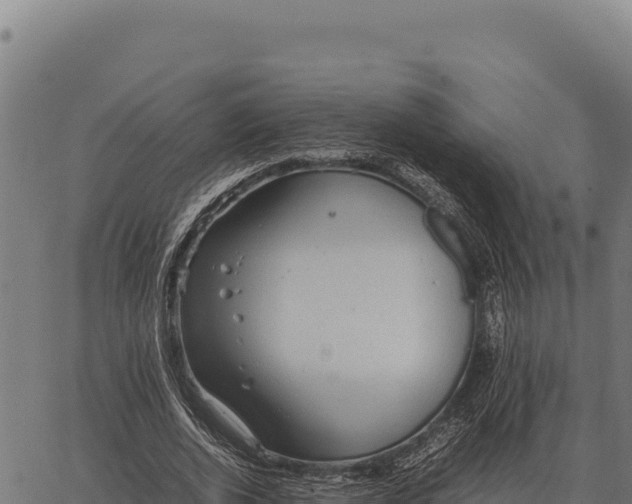 X0000066520728200603311754