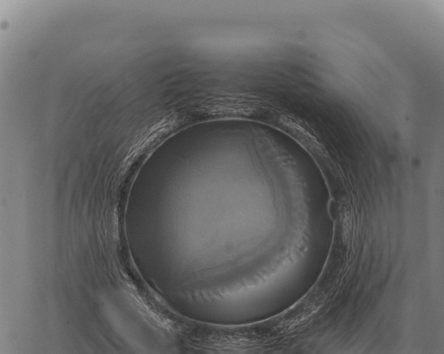 X0000066520729200603311754