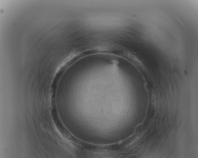 X0000066520730200603311754