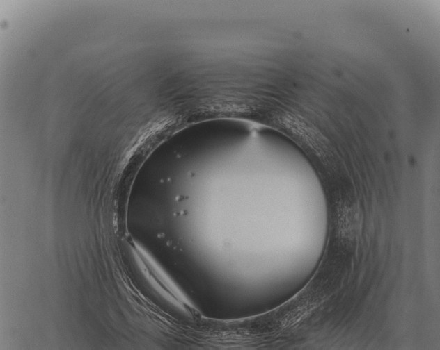 X0000066520731200603311754