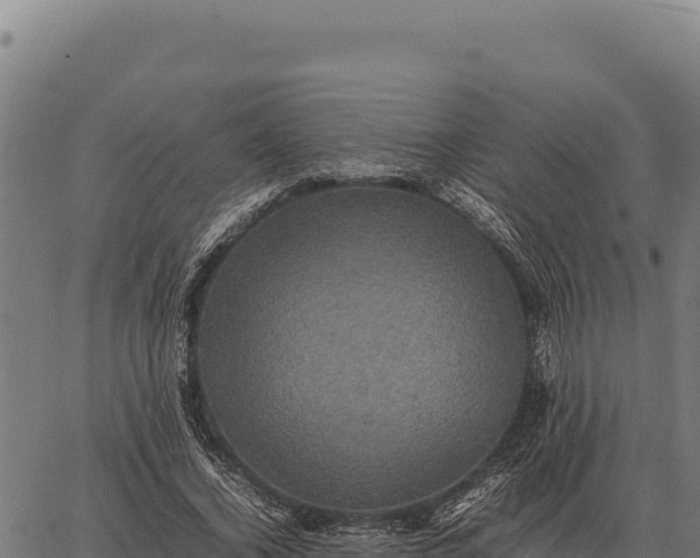 X0000066520732200603311754