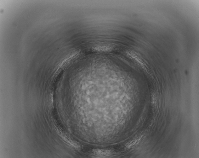 X0000066520733200603311754