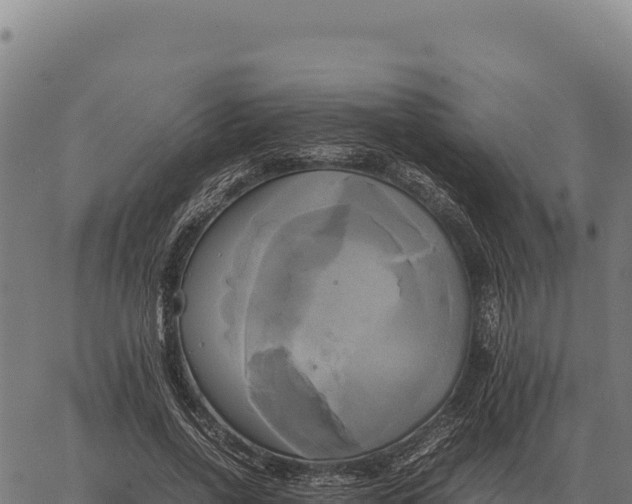 X0000066520734200603311754