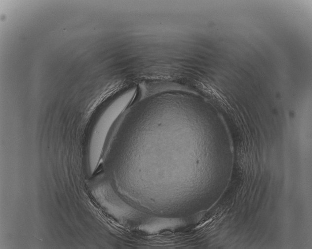 X0000066520735200603311754