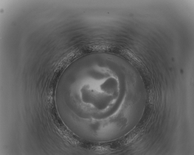 X0000066520737200603311754