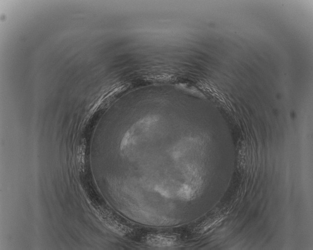 X0000066520739200603311754