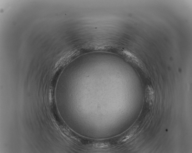 X0000066520740200603311754