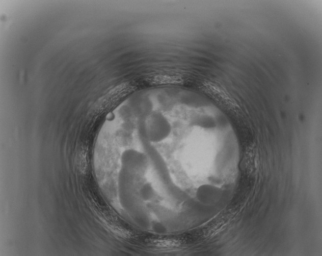 X0000066520741200603311754