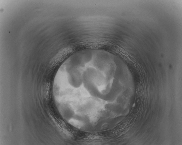 X0000066520742200603311754