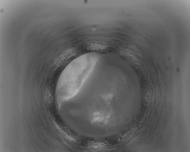 X0000066520743200603311754