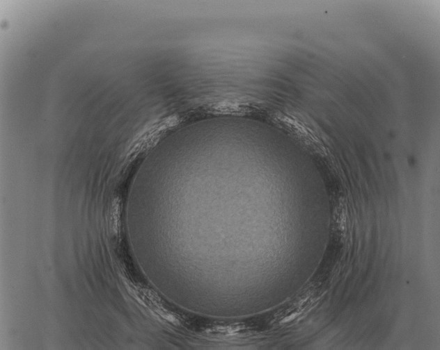 X0000066520744200603311754