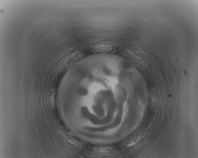 X0000066520745200603311754