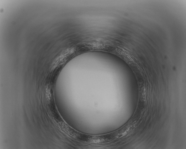 X0000066520746200603311754