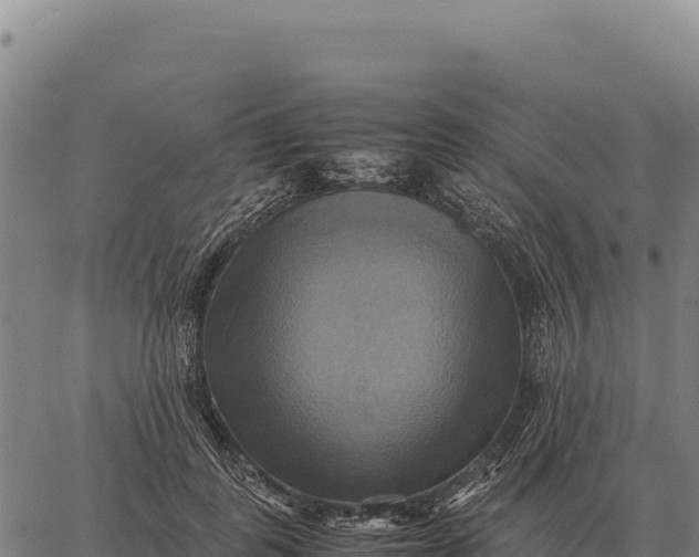 X0000066520747200603311754