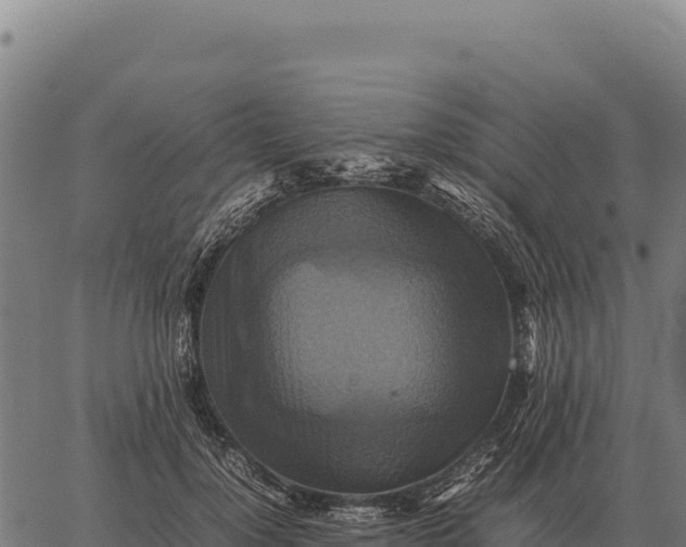 X0000066520748200603311754