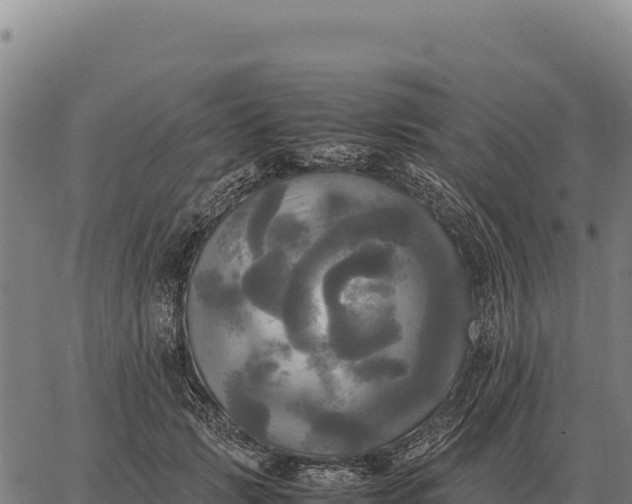 X0000066520749200603311754