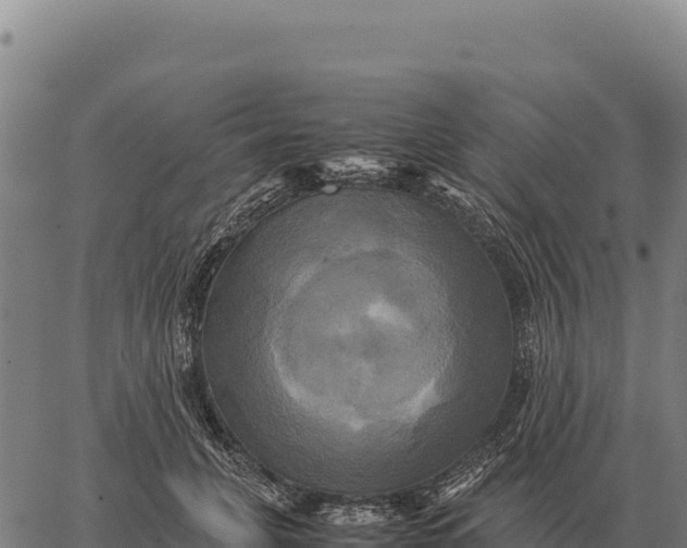 X0000066520751200603311754