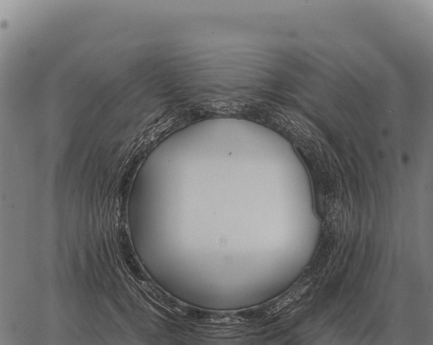 X0000066520752200603311754