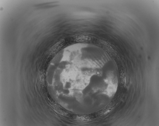 X0000066520753200603311754