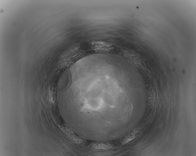 X0000066520755200603311754