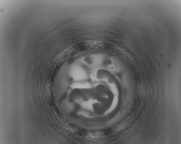 X0000066520757200603311754