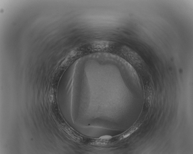 X0000066520758200603311754