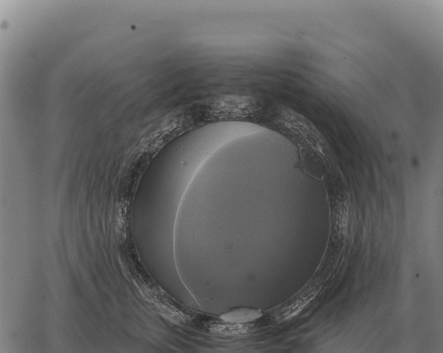 X0000066520759200603311754