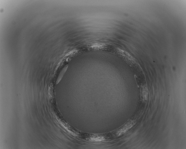 X0000066520760200603311754