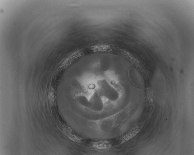 X0000066520761200603311754