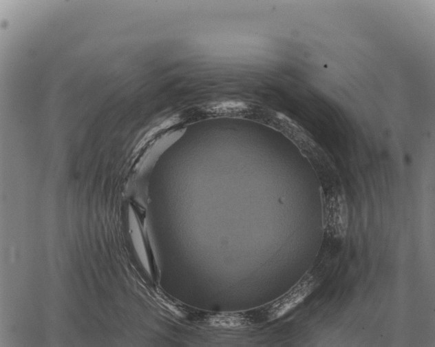 X0000066520762200603311754