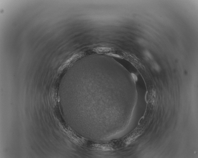 X0000066520763200603311754