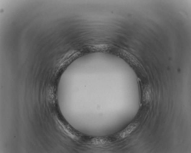 X0000066520764200603311754