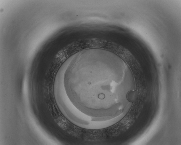 X0000066520765200603311754