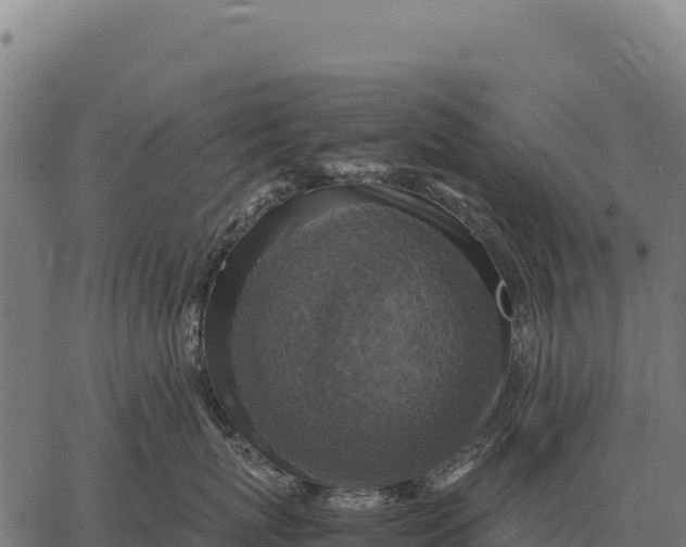 X0000066520767200603311754