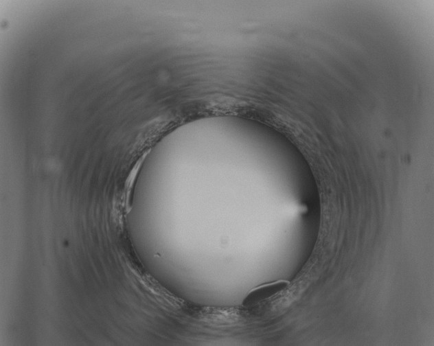 X0000066520768200603311754