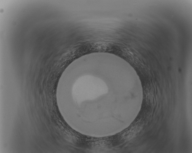 X0000066520769200603311753