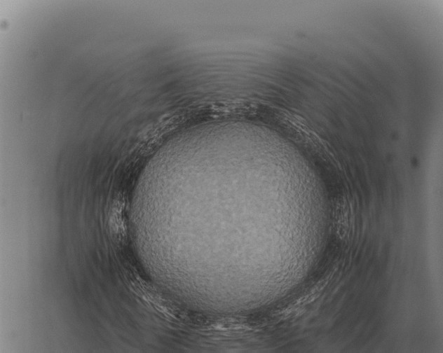 X0000066520770200603311753