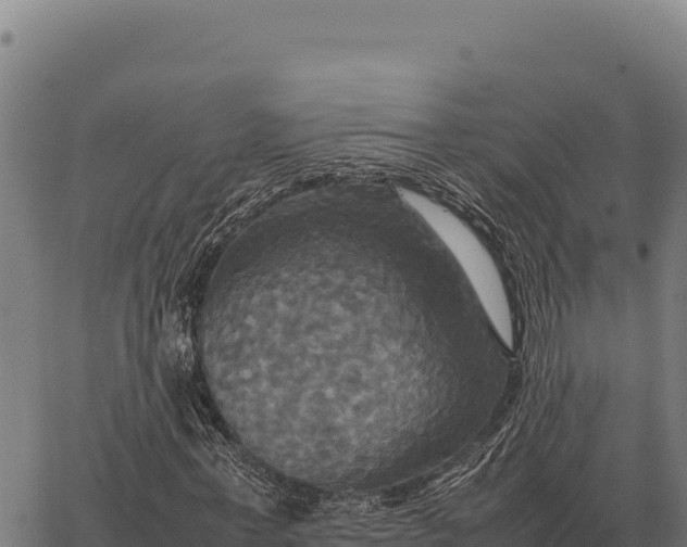 X0000066520771200603311753