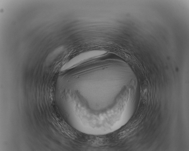 X0000066520772200603311753