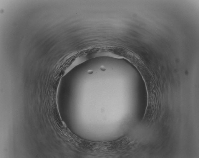 X0000066520773200603311753