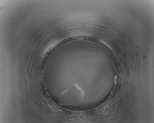 X0000066520775200603311753