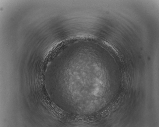 X0000066520776200603311753