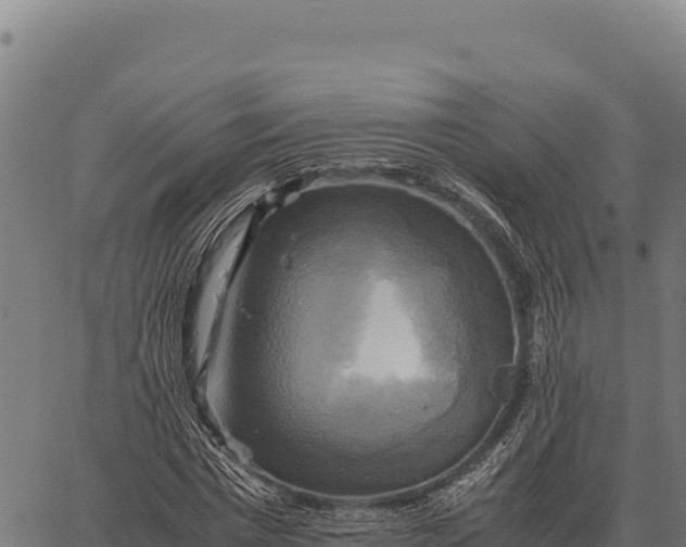 X0000066520777200603311753