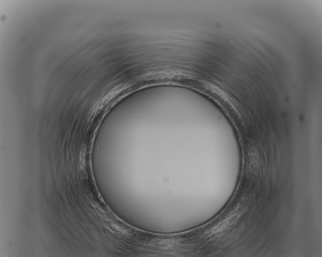 X0000066520778200603311753